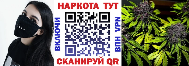  COCAIN Злынка