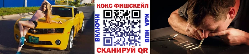 Кокаин Columbia  как найти   МЕГА ТОР  Злынка 