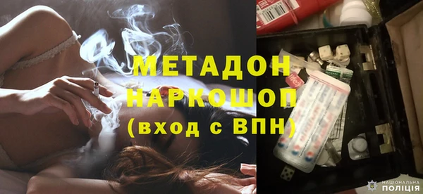 прущие грибы Сафоново