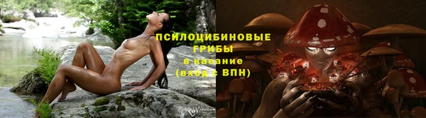 стаф Бронницы