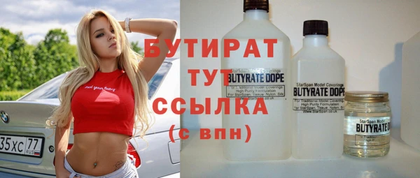 мдпв Бородино