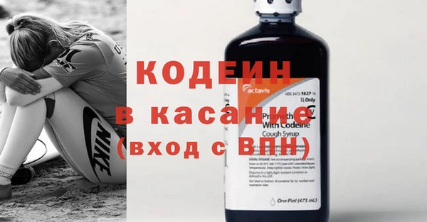 мдпв Бородино