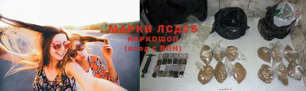 твердый Володарск
