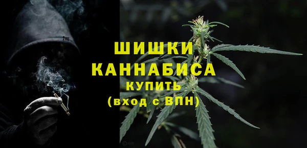 PSILOCYBIN Сатка