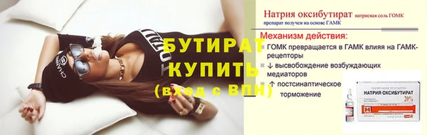 мдпв Бородино