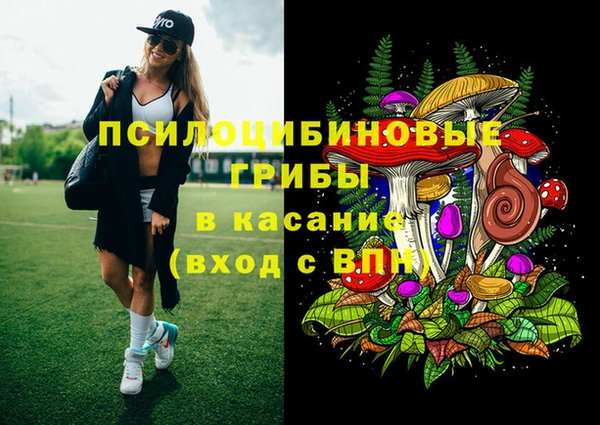 мдпв Бородино