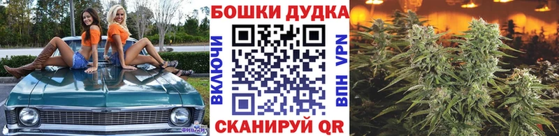 Канабис ГИДРОПОН  наркота  hydra ССЫЛКА  Злынка 